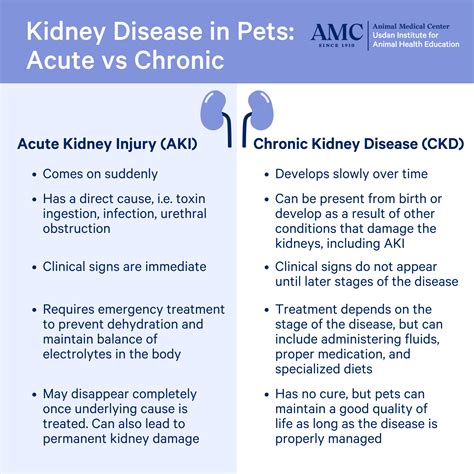Factors associated with survival in dogs with chronic kidney disease.